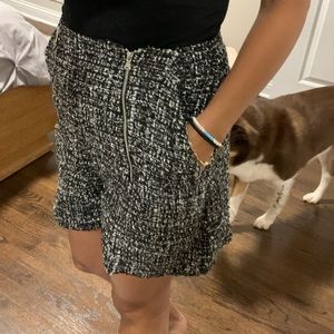Business Casual Shorts